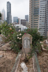 20130206-_STD0674-sRGB2500