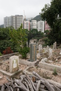 20130206-_STD0682-sRGB2500