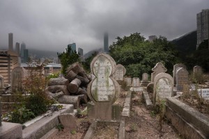 20130206-_STD0685-sRGB-22500