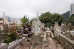 20130206-_STD0685-sRGB2500