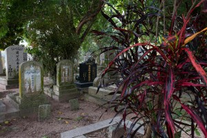 20130206-_STD0691-sRGB2500