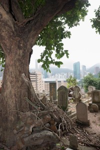 20130206-_STD0703-sRGB2500