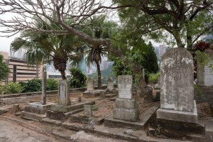 20130206-_STD0706-sRGB2500