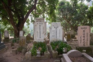 20130206-_STD0709-sRGB2500