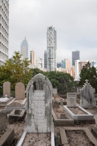 20130206-_STD0710-sRGB2500