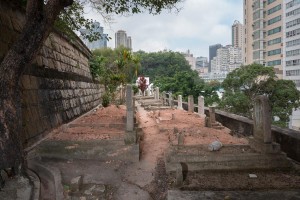 20130206-_STD0762-sRGB2500