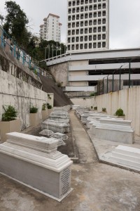 20130206-_STD0779-sRGB2500