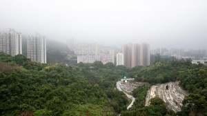 20130207-_STD1152-sRGB2500