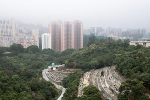 20130207-_STD1154-sRGB2500