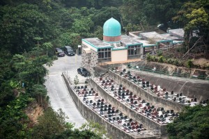 20130207-_STD1159-sRGBcrop4500w2500