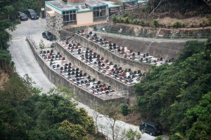 20130207-_STD1162-sRGBcrop4500w2500