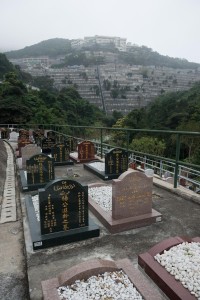 20130207-_STD1238-sRGB2500