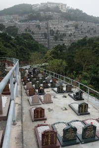 20130207-_STD1239-sRGBcrop4500w2500