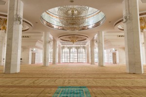 20130208-_STD1344-sRGB2500