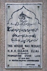 20120218-_STR1528-Edit-Edit-sRGB2500