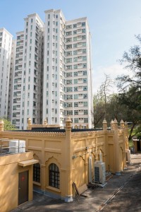 20130206-_STD0916-sRGB-22500