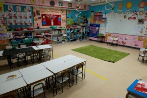 20130207-_STD1075-sRGBcrop4500w2500